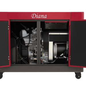 موتور برق 9 کیلووات تک فاز/سه فاز سایلنت دیزلی دیانا 9RZ-D1